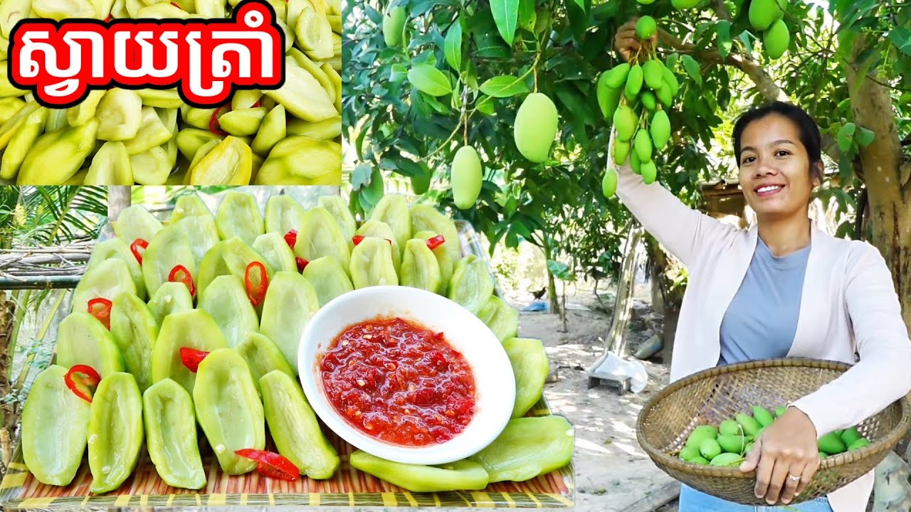 របៀបធ្វើស្វាយត្រាំ ស្រួយឆ្ងាញ់  Picked Mango