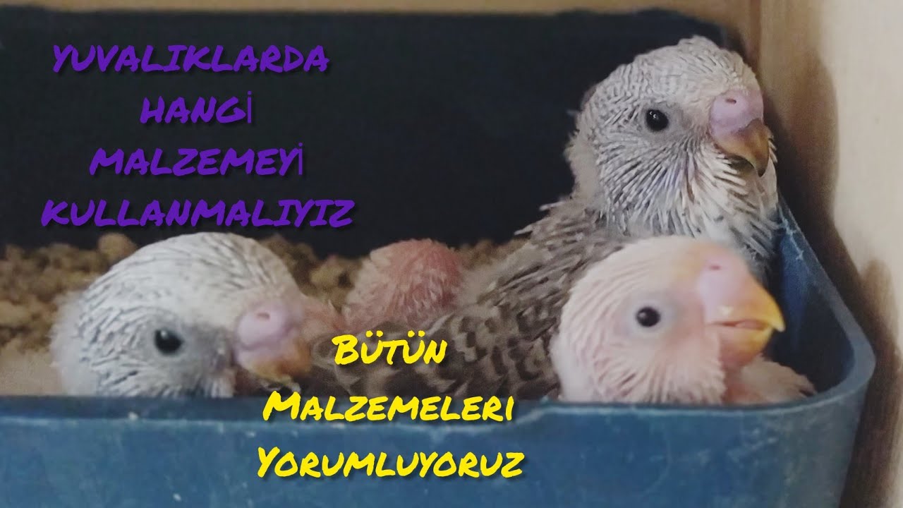 Yuvalık Malzemesi Ne Kullanmalıyız? l Hepsini Sizler İçin Test Ettik l Yorum Vlog