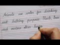 How to practice cursive handwriting  calligraphy  writing practice  for beginners  english 112