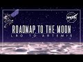 Roadmap to the Moon: LRO to Artemis