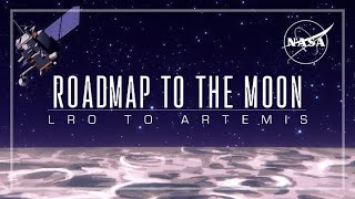 Roadmap to the Moon: LRO to Artemis