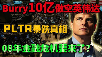 Burry 10 亿做空英伟达，PLTR 暴跌真相，08年金融危机要来了？