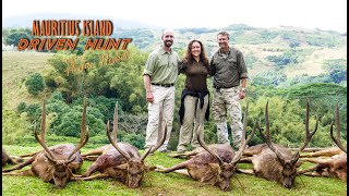 Driven hunt for deer and wild boar at the Mauritius Island - SS 60