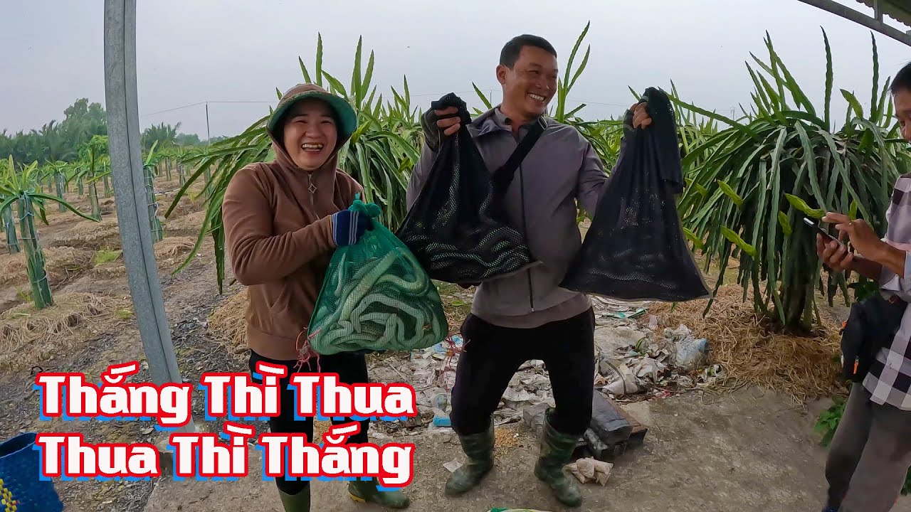 Trò Chơi Con Rắn, Thắng Thì Thua...Thua Thì Thắng # CSSB # Tập 26