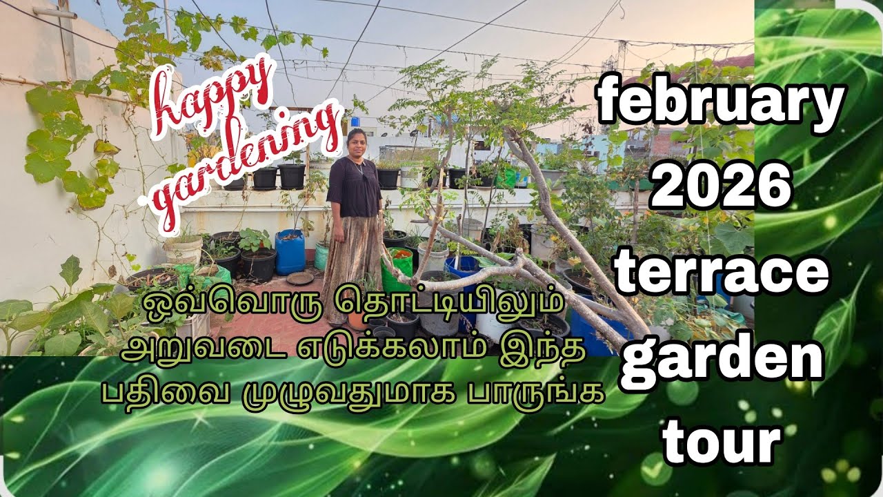 வெயில் காலத்தில் மாடி தோட்டம் போடலாமா #maadithottam #maadi_thottam @RajiGowthaman
