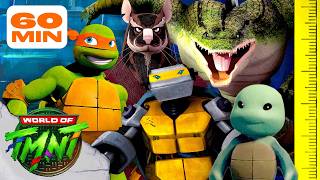 ranking teenage mutant ninja turtles characters height tmnt
