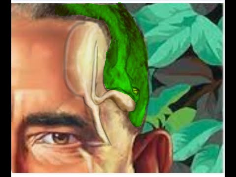 Is SATAN ACTUALLY Making His FINAL MOVE TO TAKE OVER The U.S. ?? How Obvious does it have to Get ??