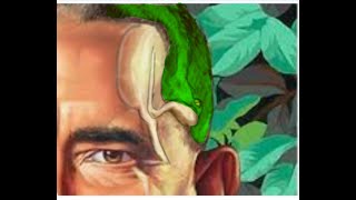 Is SATAN ACTUALLY Making His FINAL MOVE TO TAKE OVER The U.S. ?? How Obvious does it have to Get ??