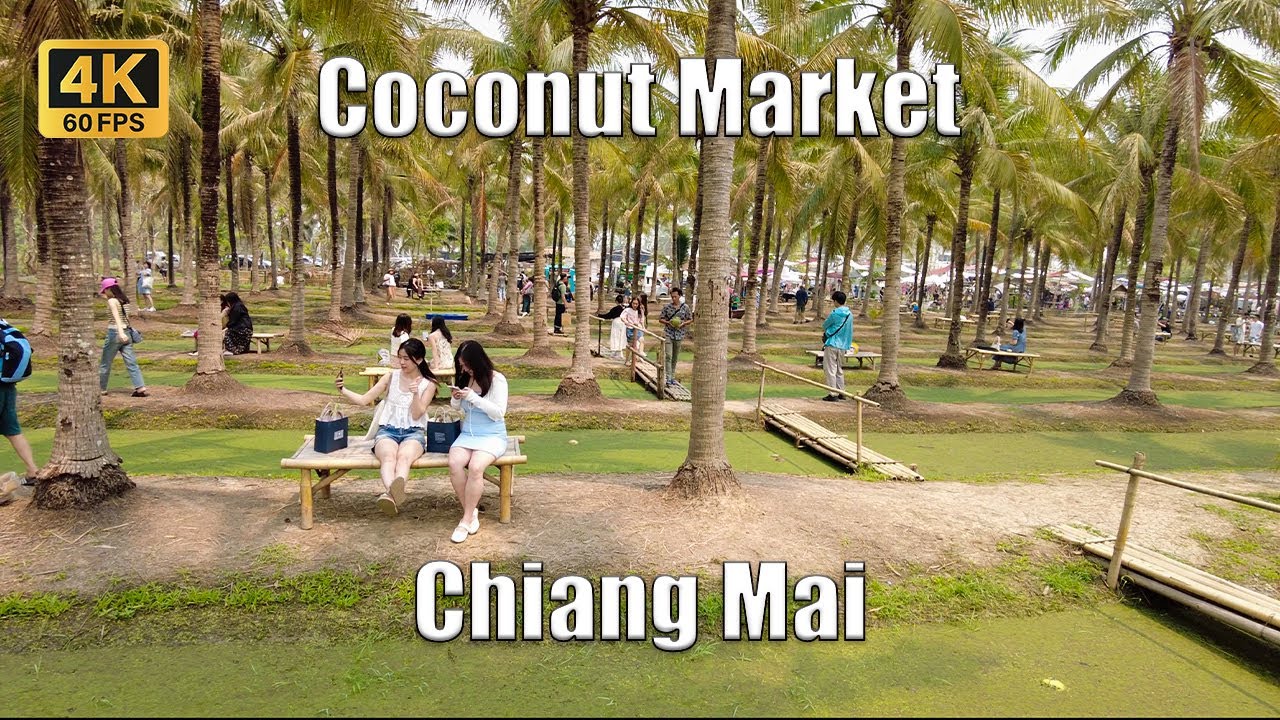 [4K🇹🇭] Chiang Mai Thailand Coconut Market New Popular Market in Chiang Mai Apr 2023 YouTube