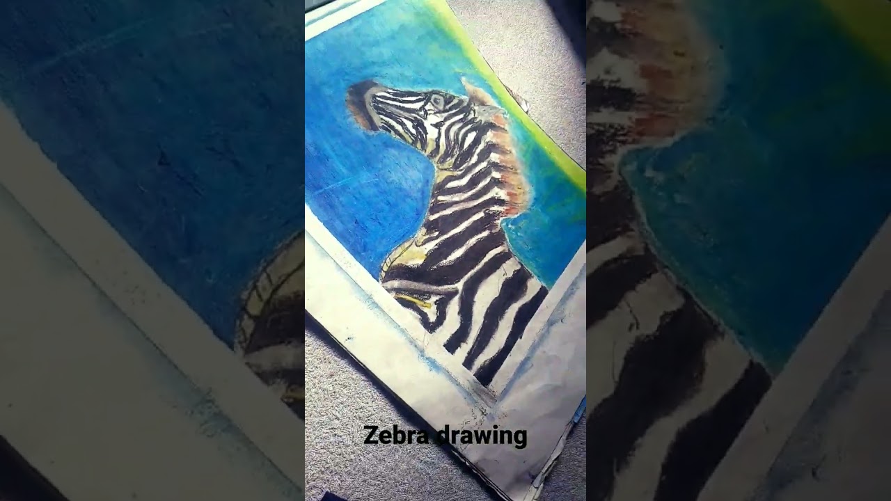 Zebra drawing with oil pastel