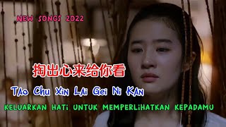 掏出心来给你看 - Tao Chu Xin Lai Gei Ni Kan - 小曼 - Xiao Man - New Songs 2022