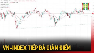 VN-Index tiếp đà giảm điểm | Tin tức