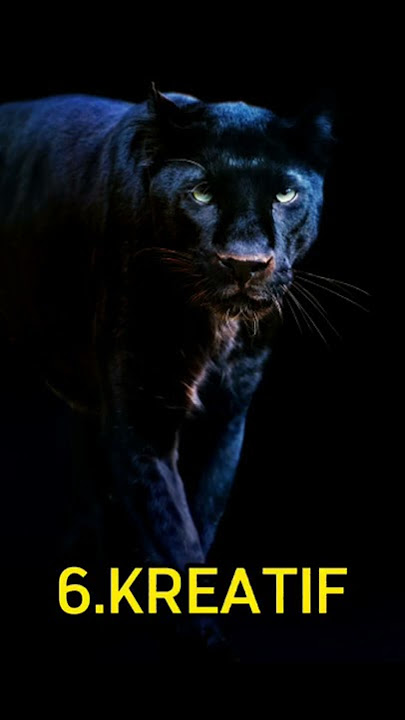 CIRI2 ORANG MEMILIKI KHODAM MACAN KUMBANG