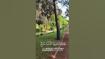 #istanbul #اكسبلور #quran #راحة_نفسية #العراق #اسطنبول #تلاوة_خاشعة #المنشاوي