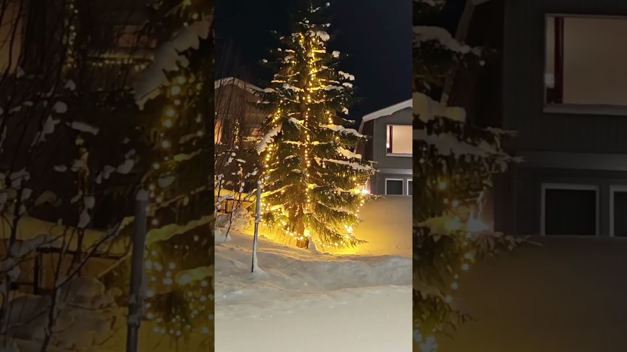 🏠 #house #home #urban #norway #cozyhome