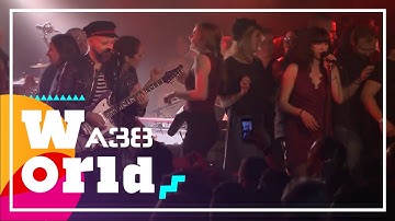 Shantel & Bucovina Club Orkestar - Disko Devil // Live 2015 // A38 World