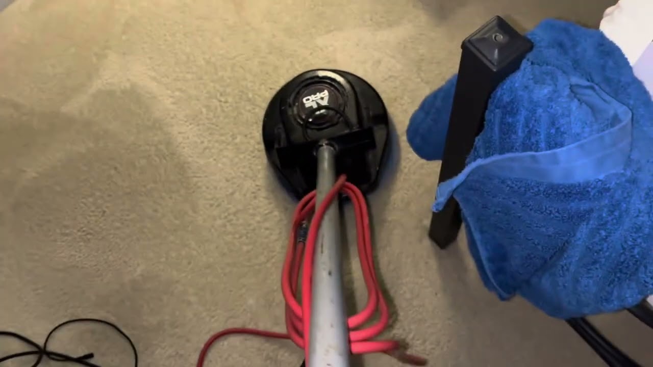 Tons of stains in carpet! SETT/ULM/DISE/OPP 