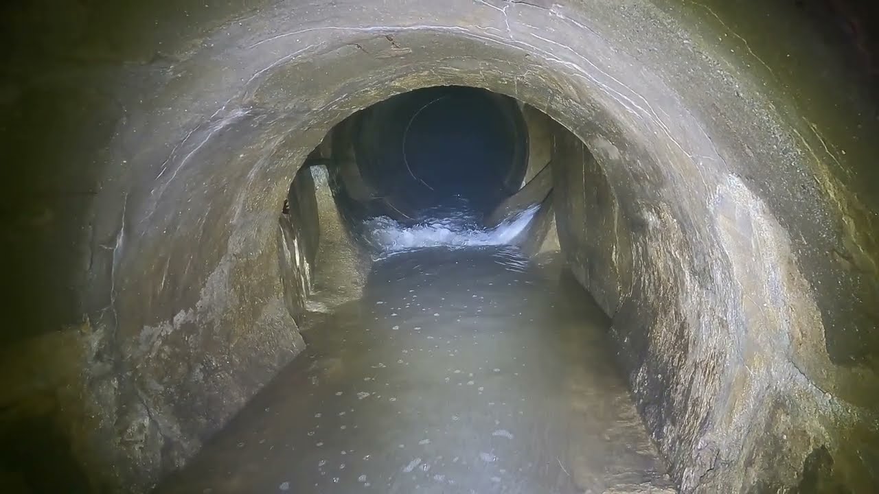 RN Trnkova - déšť 18.8. 2024