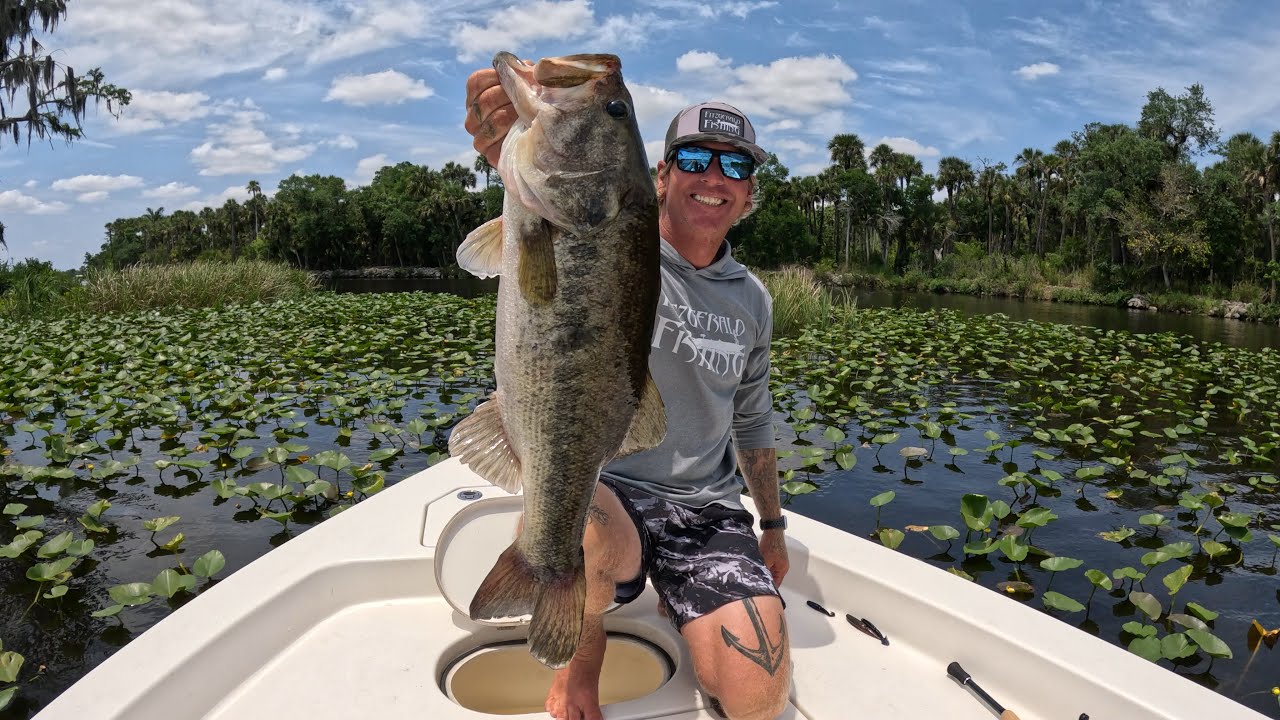 BIG river BASS using different kind of Swimjig trailers