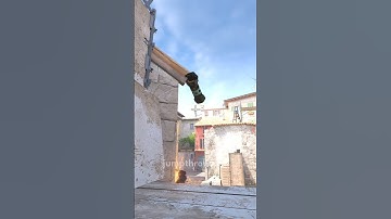 Inferno Flash ⚡ by FURIA FalleN @ BLAST Bounty 2025 Season 2