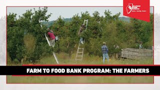 Farm to Food Bank Program: The Farmers