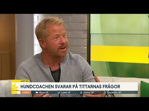 Video: Är det olagligt att vara ensam hemma?