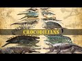 Crocodiliens  comparaison de tailles crocodiles alligators camans et gavial