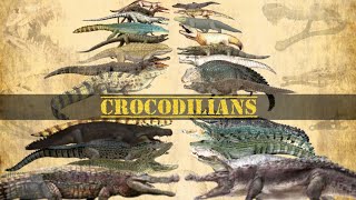 CROCODILIANS  Size Comparison, Crocodiles, alligators, caimans & gharial.
