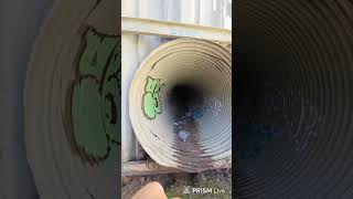 LIVE: Searching For Missing Nancy Guthrie In Tucson - When Will She Be Found❓️❗️🎗#NancyGuthrie