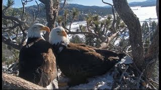 Big Bear Eagles ~ 2019 SEASON TRIBUTE ~ "Somewhere Out There" ♥♥♥   8.22.19