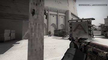 Me & eco rounds (faceit highlight)