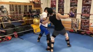 2019073001 toellgym.com