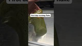 Full video coming tonight 🤙To know when we launch visit: propoursystems.com #baitmaking #baitmaker