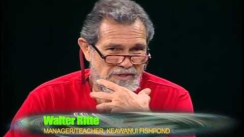 GMO Week: Get Informed: Anti GMO Part 2