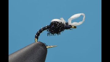 Graveyard Midge Short Video