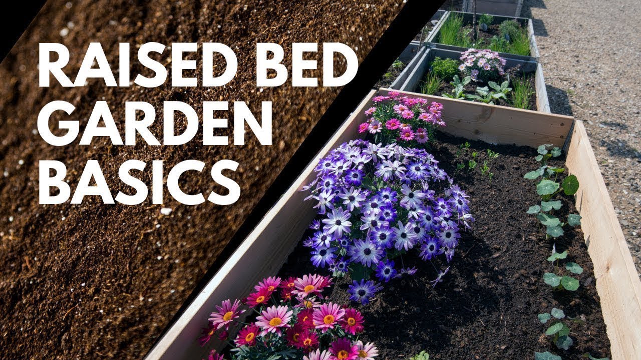 Basics of Raised Bed Gardening Including Raised Bed Gardening Recipe for Success