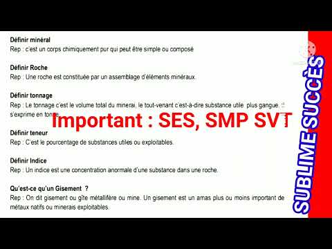 Ns4 : Chapitre