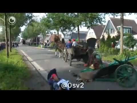 accidente con caballos desbocados, en un desfile de carruajes de tiro.