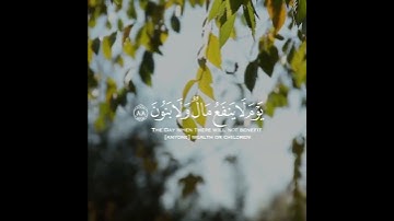 سورة الشعراء | القارئ رعد الكردي