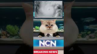 Hurricane SLAMS Florida; Mass Evacuation CHAOS Unfolds