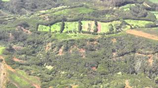 IMG 4371