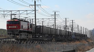2022/02/25 3095ﾚ EF510-16+コキ19両