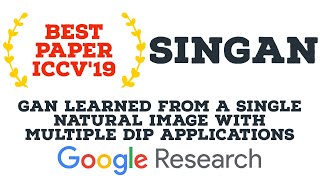 SinGAN: Learning a Generative Model from a Single Natural Image Net Worth