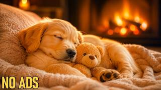 Dog Sleep Music 1 Hours💤 Calming Sounds for Anxious Dogs, Puppies & Separation Anxiety
