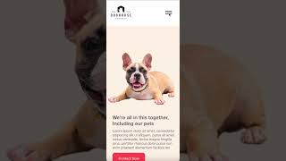 Details Pet Shop Website Landing Page Guide