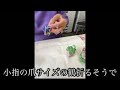 【驚愕】折り紙職人？95歳の手作業とは！食品サンプルRIKIの母は超手先が器用　折り紙origami職人チャレンジ動画です。つめ先サイズの折り鶴を折る　#細かい作業
