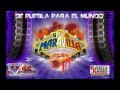 GRUPO MARAVILLA DE ROBIN REVILLA - LA CUMBIA PIRUETA [LIMPIA] EXITO 2014