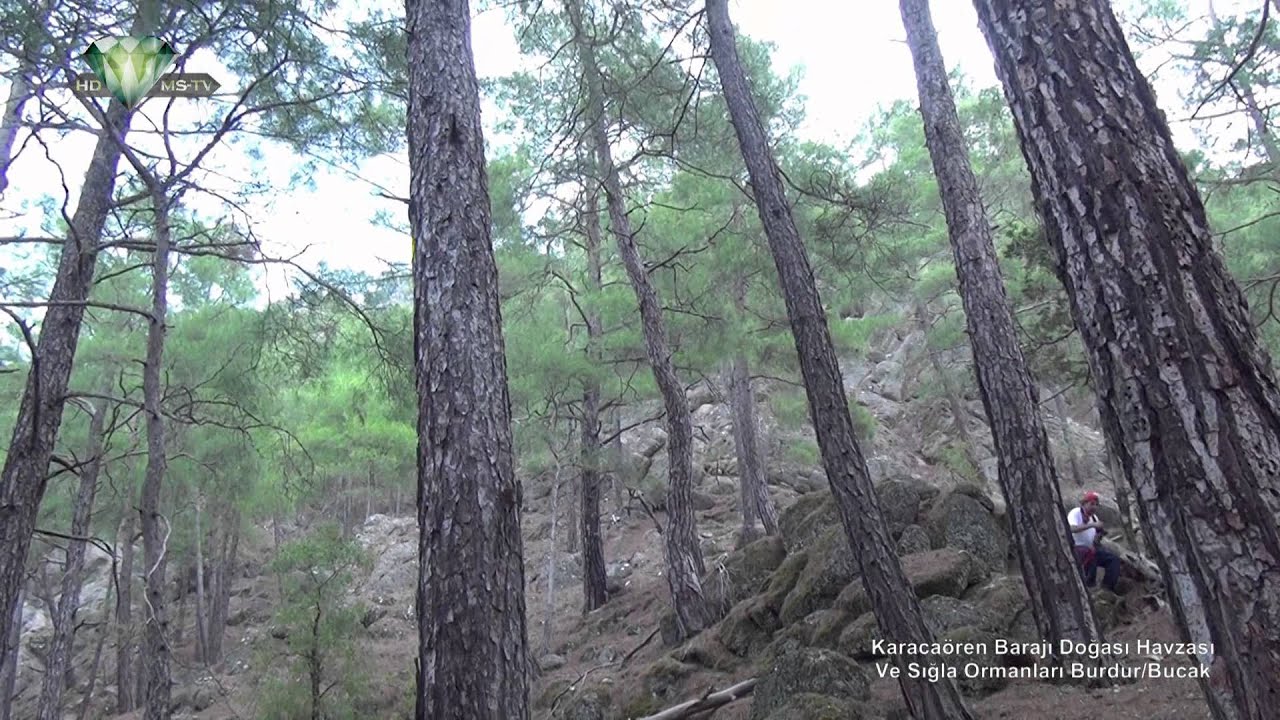 YouTube player