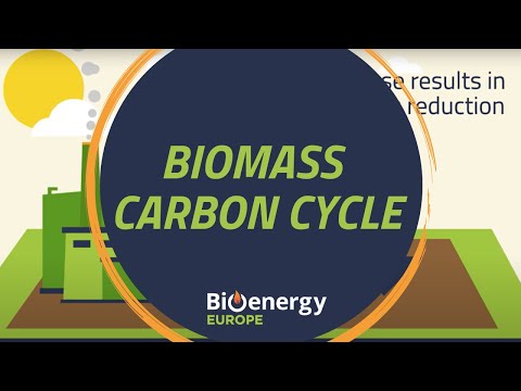 Видео: Какъв е глобалният въглероден цикъл?