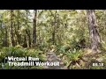 Virtual run  virtual runnings treadmill workout scenery  forest trail to rainbow beach